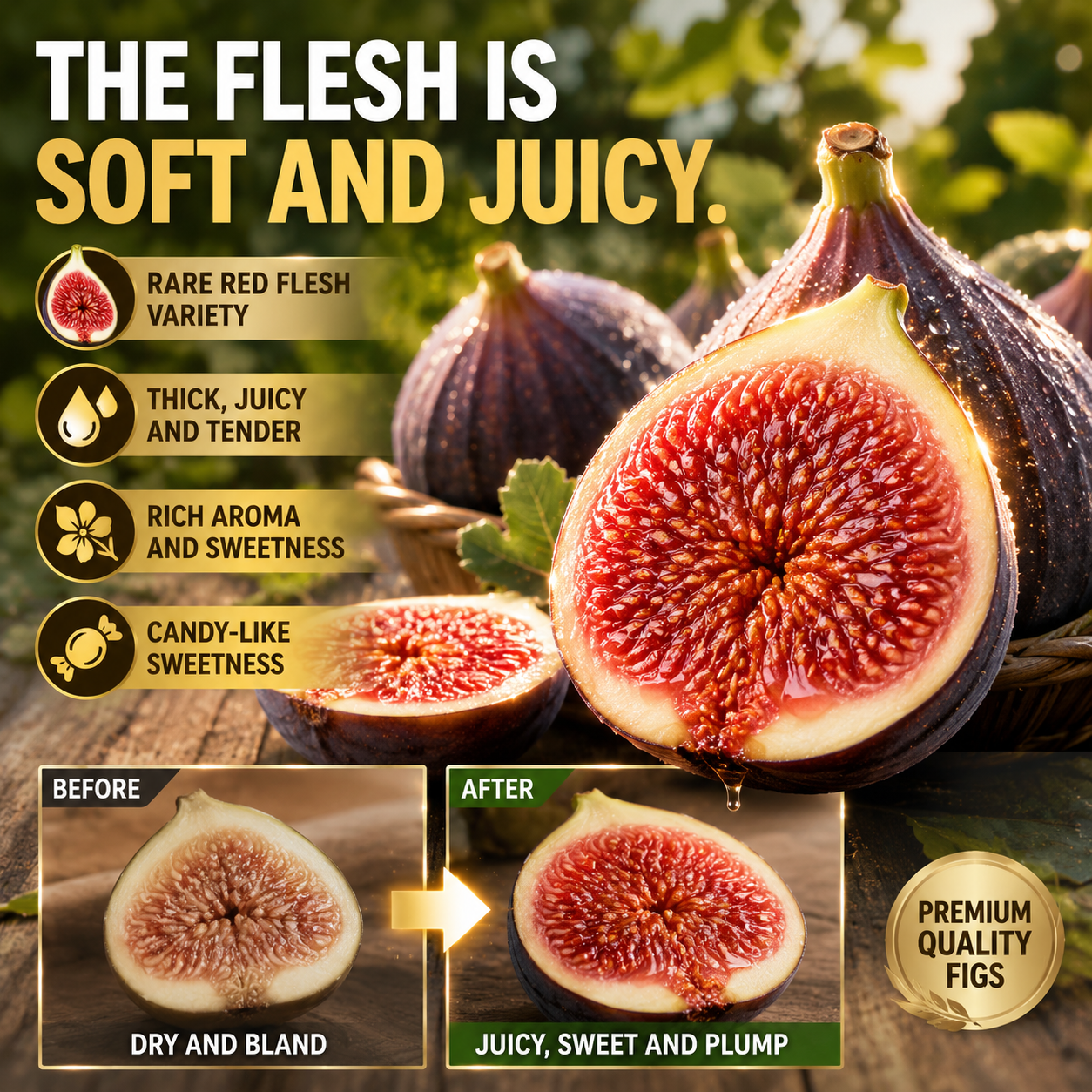 🌳 Bears fruit within a year! This high-yielding, dwarf fig variety can be planted year-round. Featuring sweet, fresh, and crisp flesh, it is ideal for cultivation in pots, on balconies, or on farms, and is suitable for a wide range of climates.
