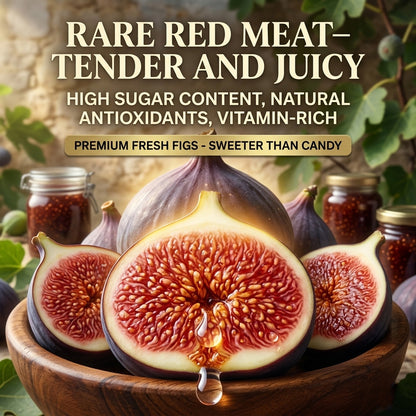 🌳 Bears fruit within a year! This high-yielding, dwarf fig variety can be planted year-round. Featuring sweet, fresh, and crisp flesh, it is ideal for cultivation in pots, on balconies, or on farms, and is suitable for a wide range of climates.
