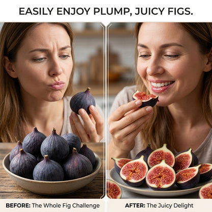 🌳 Bears fruit within a year! This high-yielding, dwarf fig variety can be planted year-round. Featuring sweet, fresh, and crisp flesh, it is ideal for cultivation in pots, on balconies, or on farms, and is suitable for a wide range of climates.