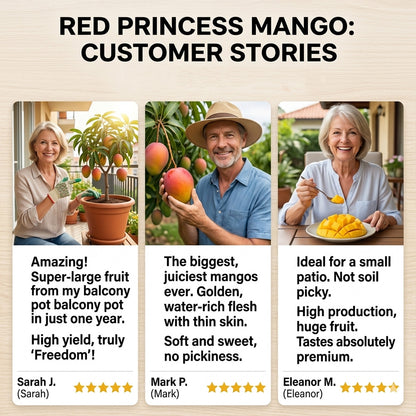 🥭The Guifei mango bears fruit annually, is a dwarf variety suitable for potted cultivation, and is ideal for home, balcony, and garden planting. It fruits quickly, yields high output, and is suitable for various climates.